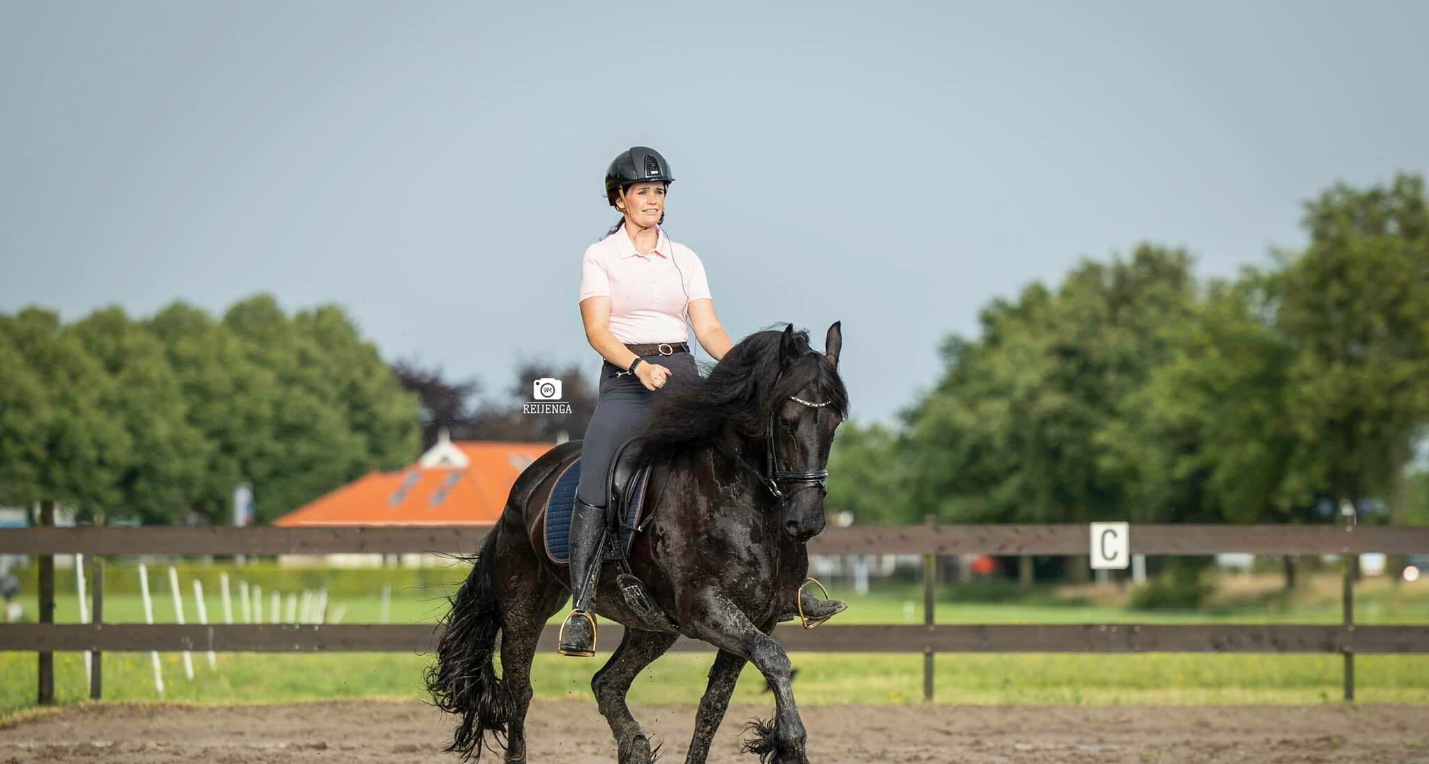 Een kijkje in de stal bij Iris Seefat