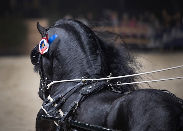 Terugblik 2022: een zeer geslaagd jaar!