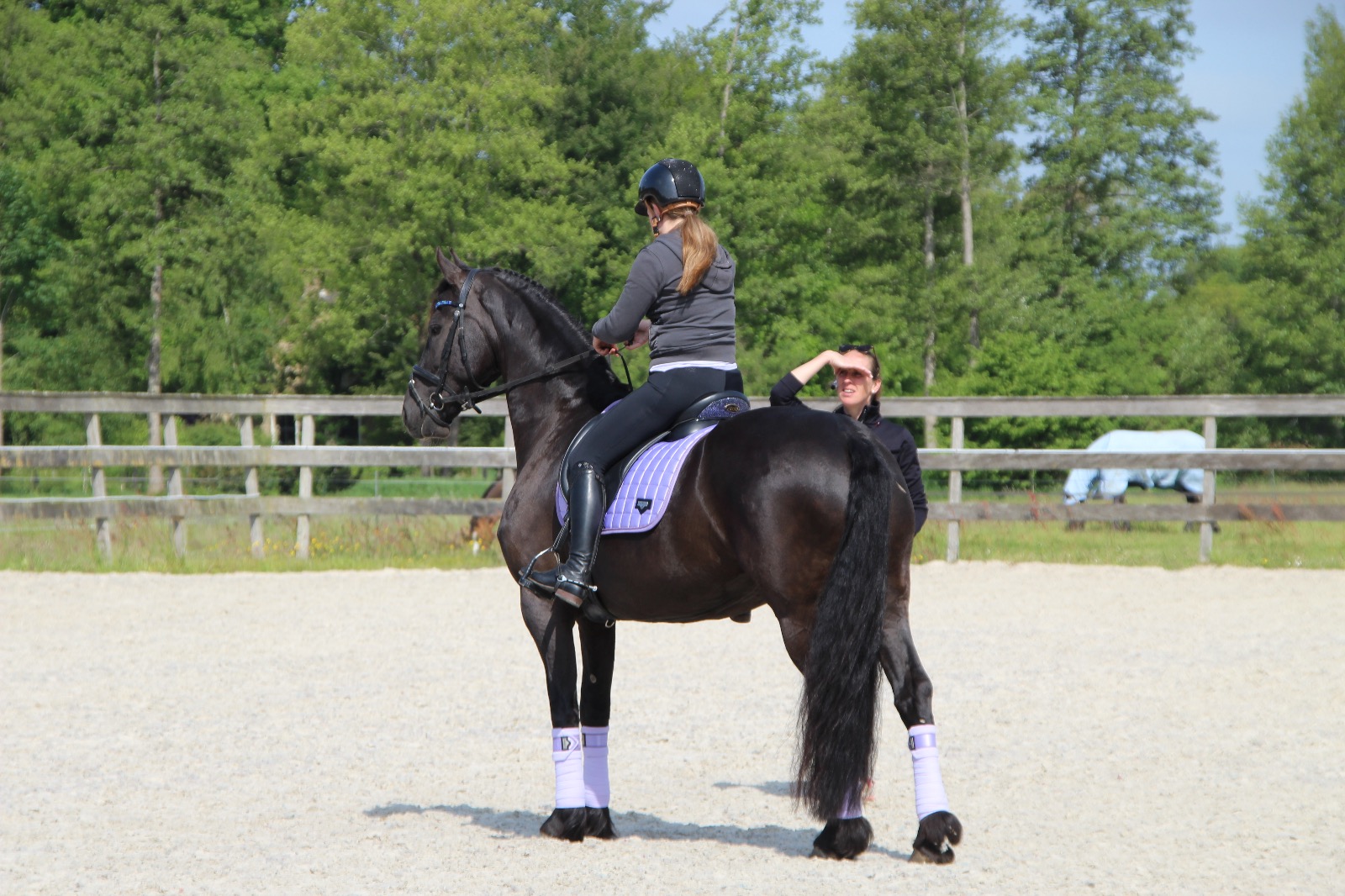 Terugblik dressuurclinic Corina van den Bunt