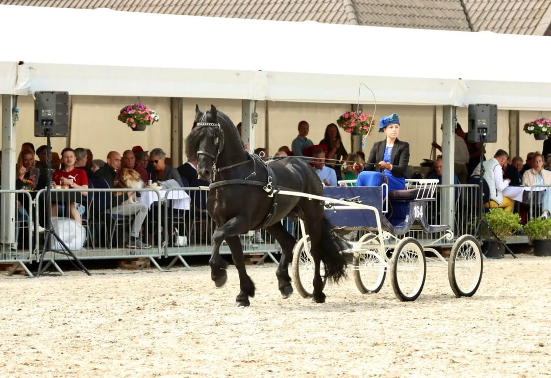 Rianne Rozendaal in de Phryso Mei 2025