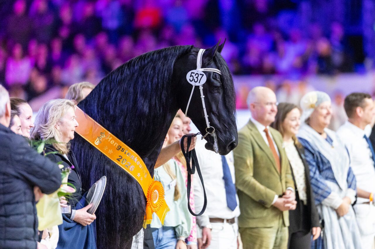 Terugblik KFPS Hengstenkeuring 2026