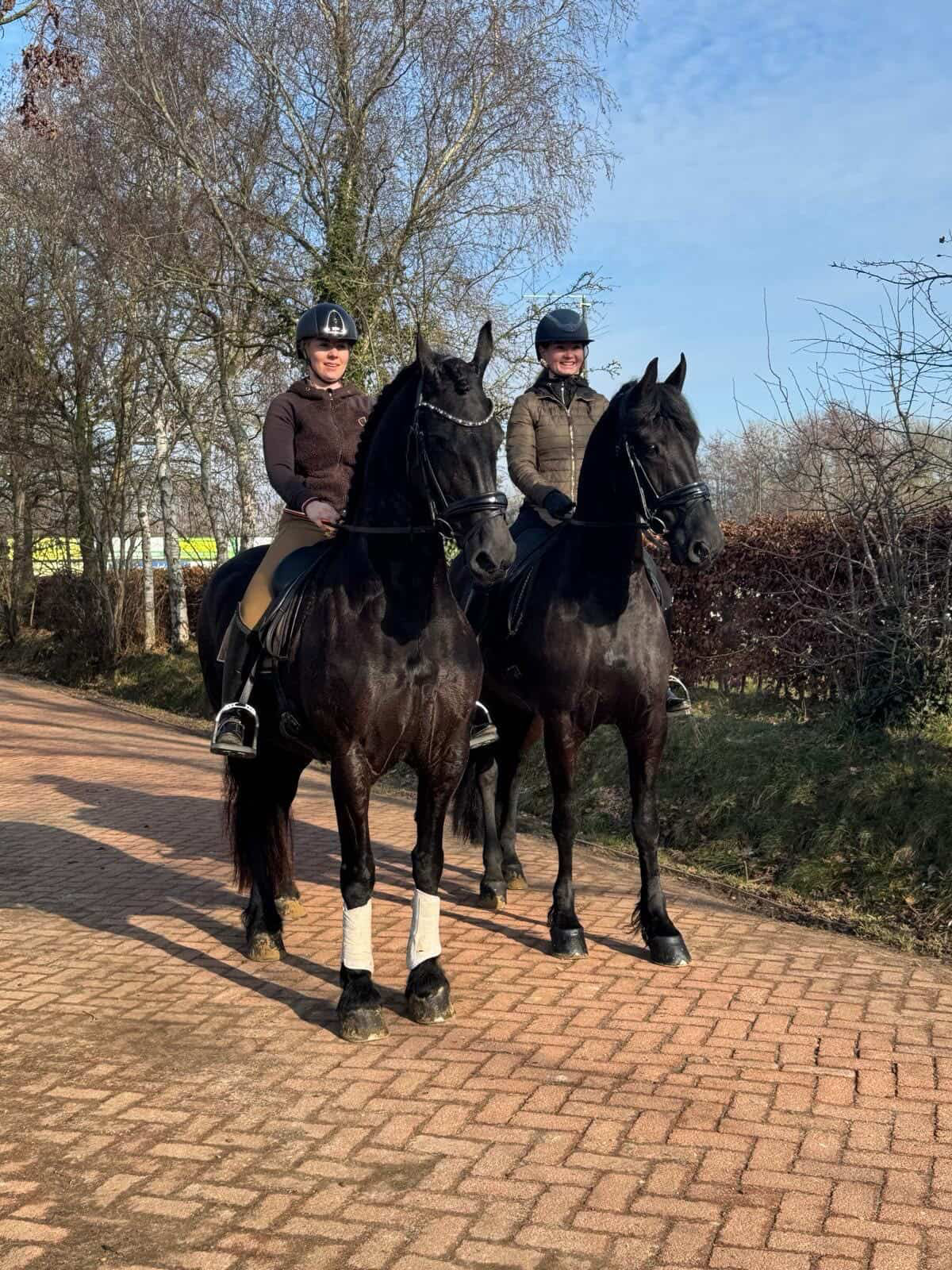 Terugblik: Dressuurclinic Hennie Roffel in Tolbert