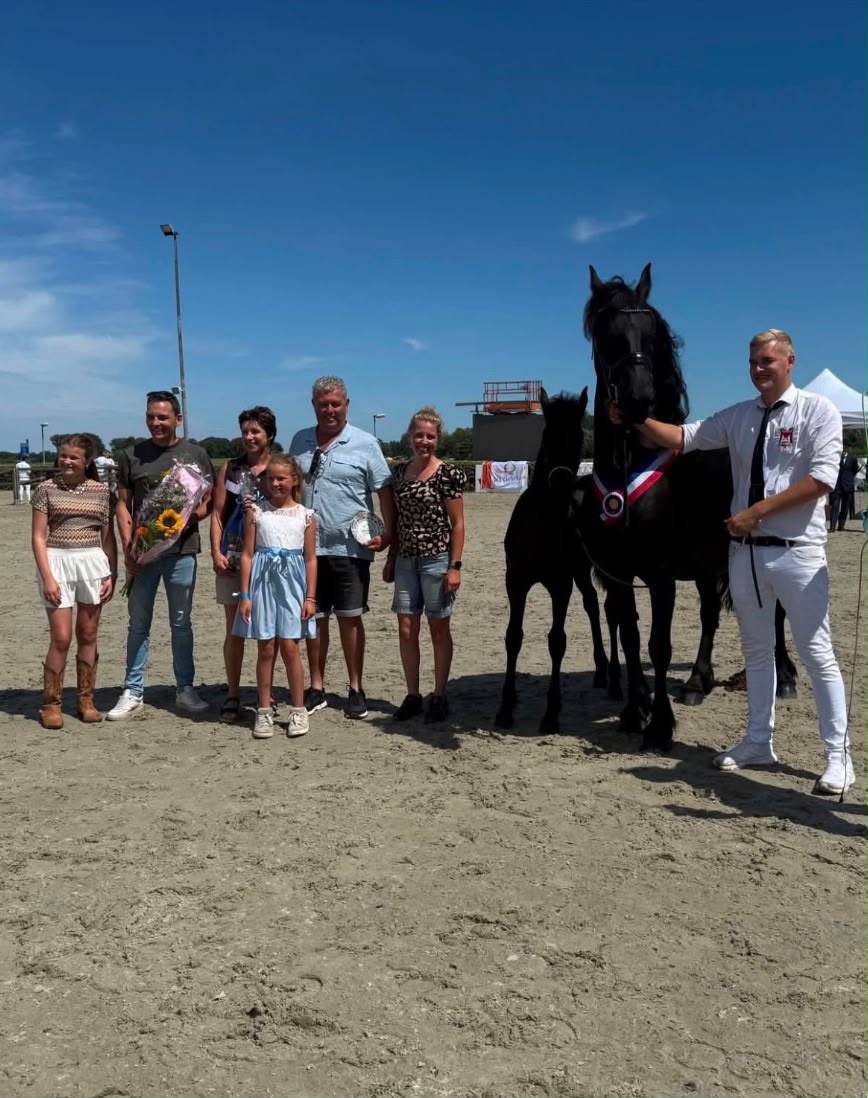 JongKFPS-lid Lisette de Boer fokt kampioensmerrieveulen in Noord- en Zuid-Holland