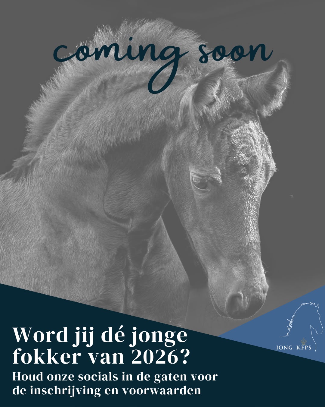Wie wordt de Jonge Fokker van het Jaar 2026?
